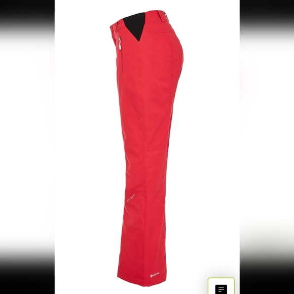 Spyder Winner Gore Tex Pants - Picture 4 of 12